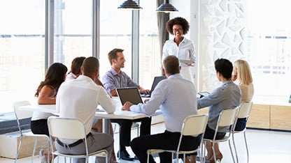 Group of professionals in meeting